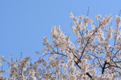 2026新潟ハマーレ始動！！