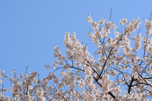 2026新潟ハマーレ始動！！